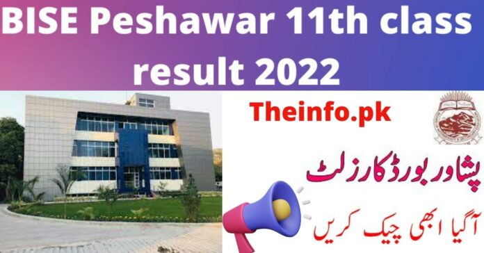 BISEP Peshawar Board 11th Result