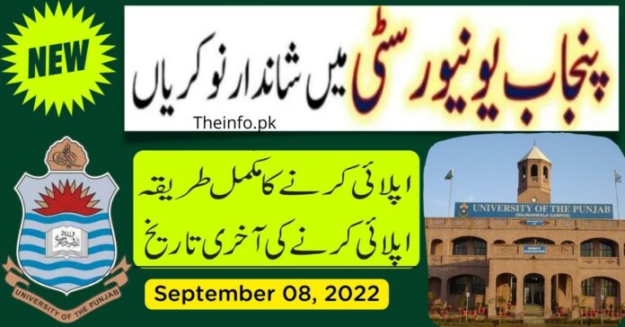 Punjab University Job Vacancies 2022 For Pakistani Citizens apply online now