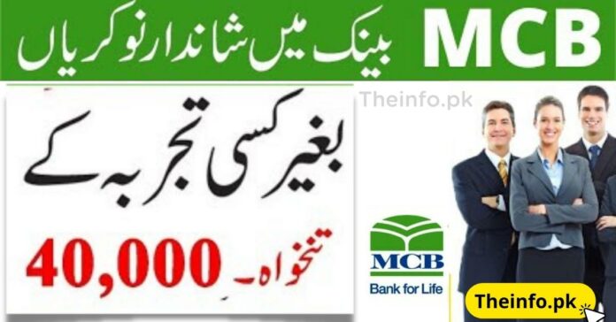 MCB MTO Jobs 2022 apply online now