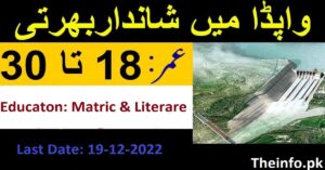 Latest Job In Wapda